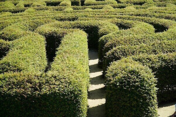 Labyrinth Walk