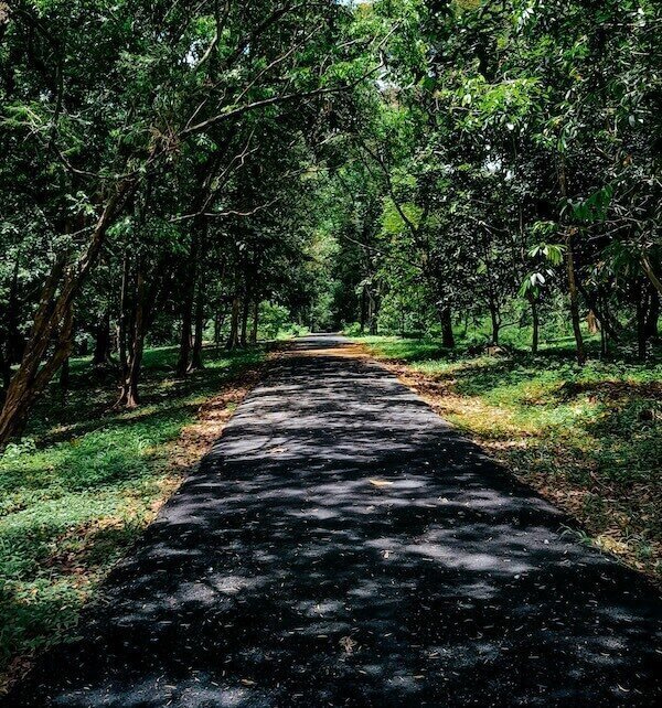 Meditation Trail