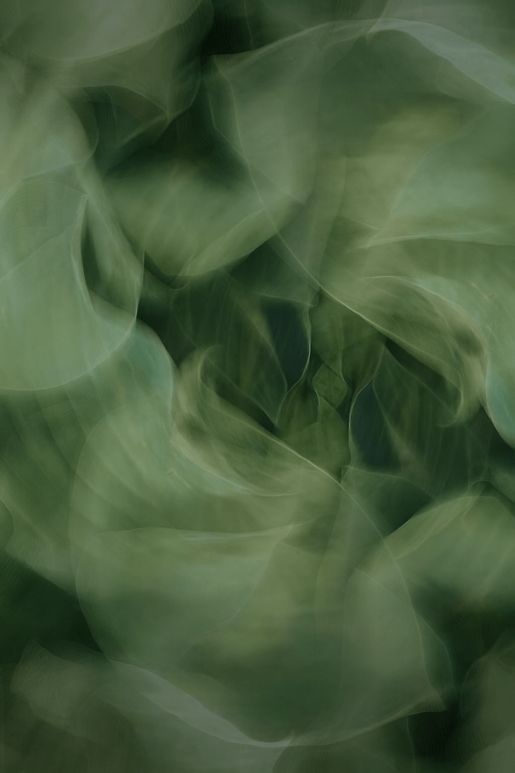 Phuket Real Estate Forum 2025 is happening on November 20 — free entry