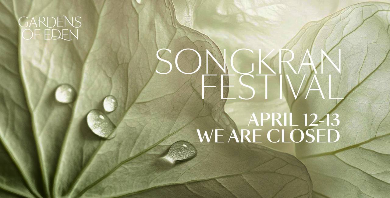 Сонгкран на Пхукете